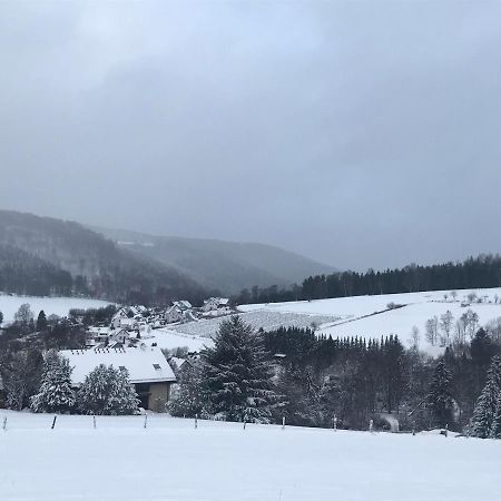 Appartement Familie Willems Winterberg 3 Экстерьер фото