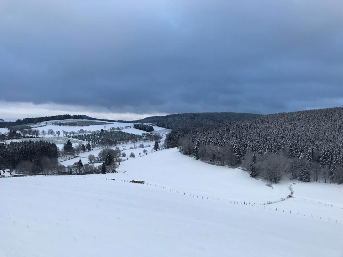 Appartement Familie Willems Winterberg 3 Экстерьер фото