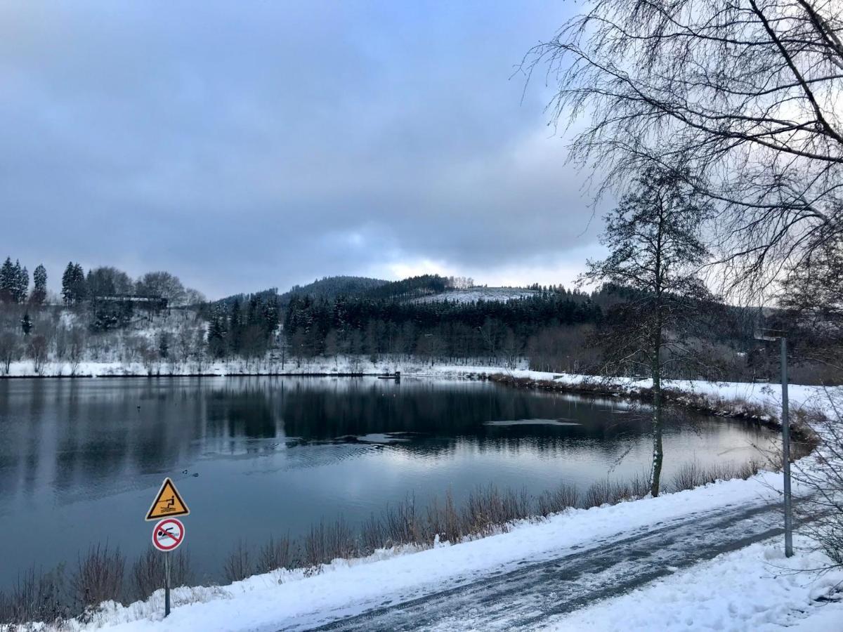 Appartement Familie Willems Winterberg 3 Экстерьер фото