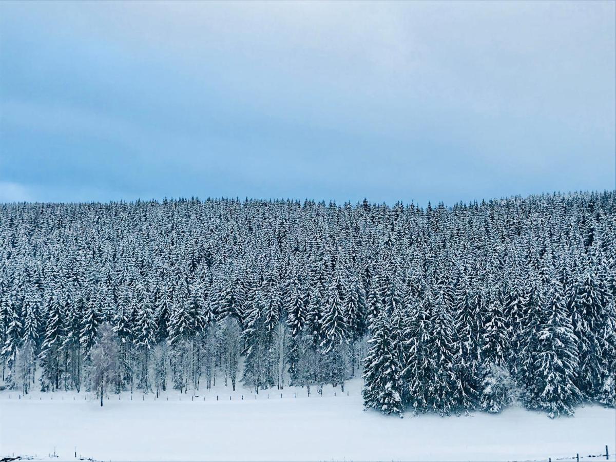 Appartement Familie Willems Winterberg 3 Экстерьер фото